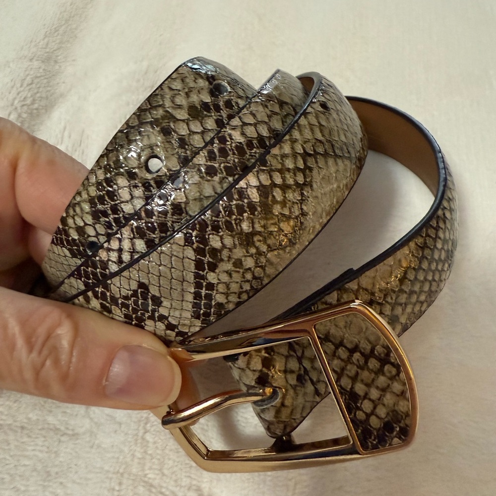 Snakeskin Pattern Belt with Gold Buckle, L 43”